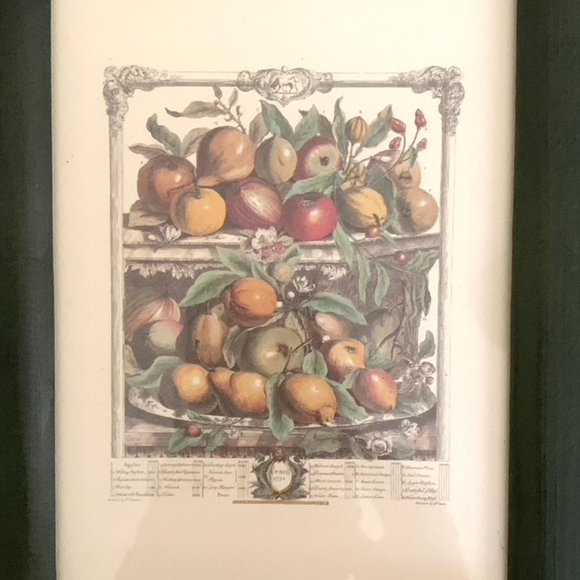 Set of 4 Vintage Arthur Kaplan Flower Prints Framed - Like New - Picture 3 of 5